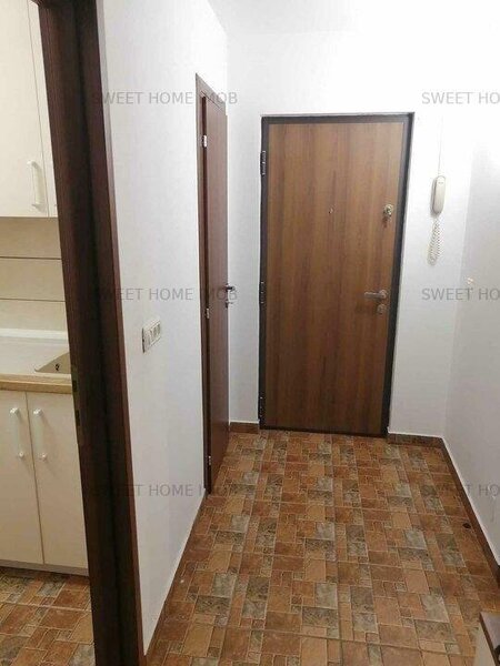 Lacul Tei, Gheorghe Titeica,