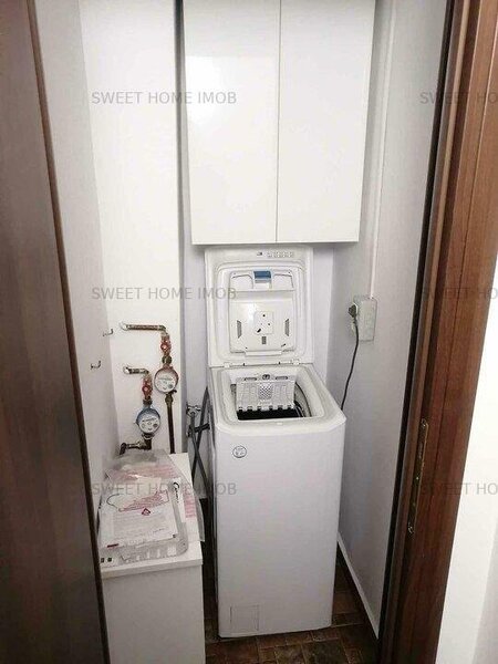 Lacul Tei, Gheorghe Titeica,