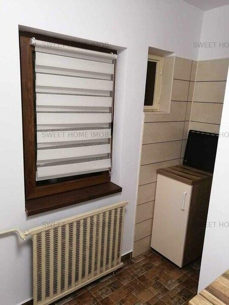 Lacul Tei, Gheorghe Titeica,